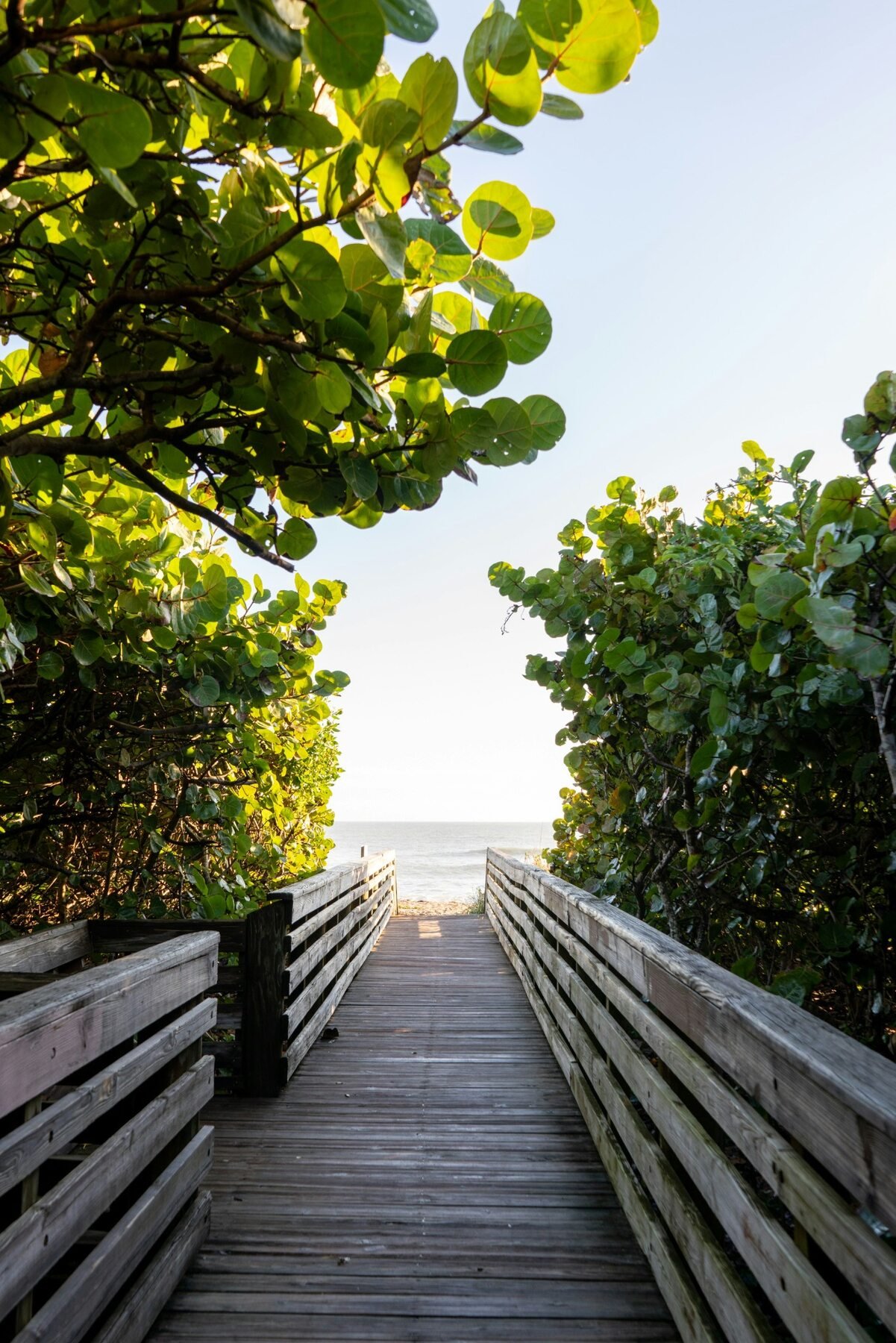 Boardwalk leading to the Gulf on Florida’s coast
